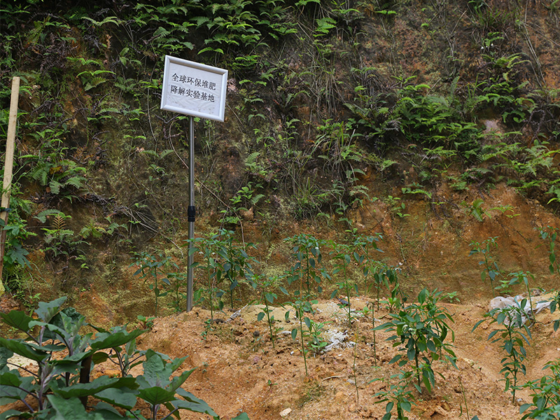 堆肥降解实验基地